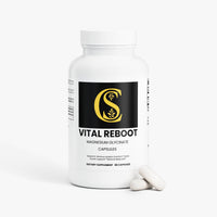 Vital Reboot, Magnesium Glycinate Capsules, bioavailable magnesium, daily magnesium capsules, nervous system support